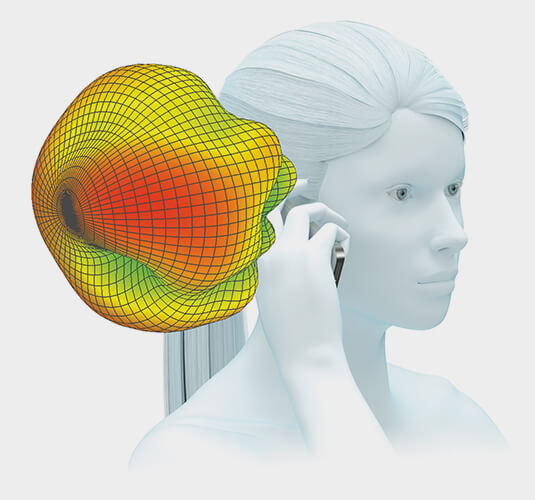 Radiation Hazard and Bio-EM